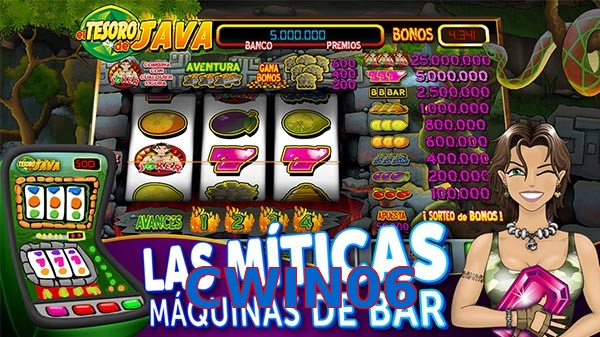 CWIN06