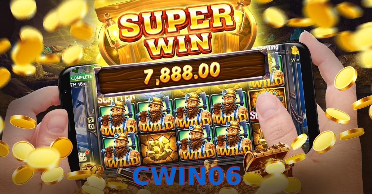 CWIN06
