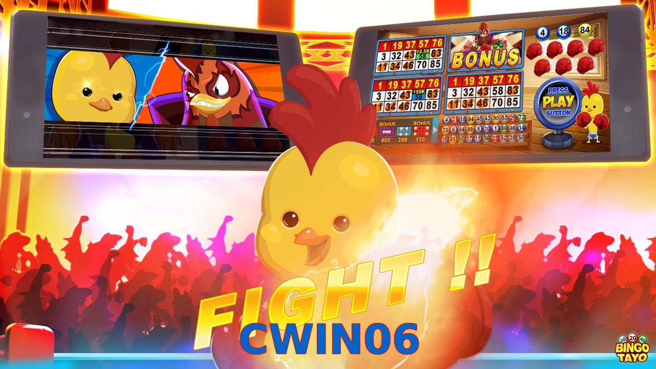 CWIN06