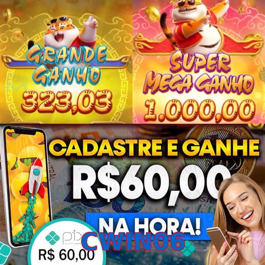 CWIN06