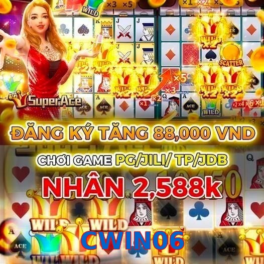 CWIN06