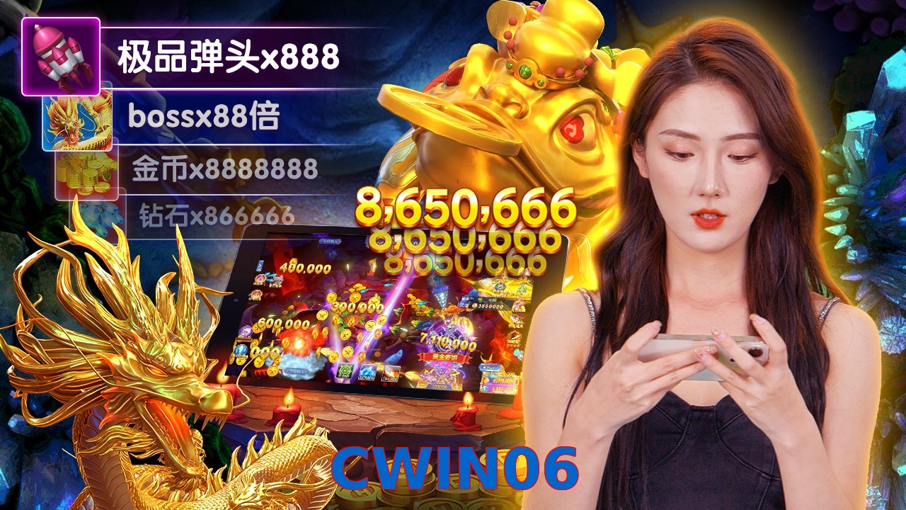CWIN06